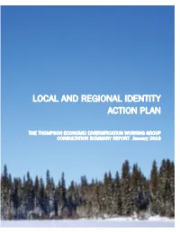 Local and Regional Identity Action Plan
