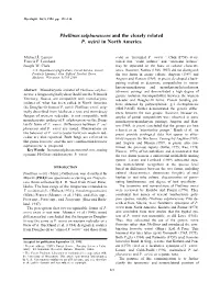 Phellinus Sulphurascens and the Closely Related P