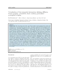 Visualization of the Pyramidal Decussation Utilizing Diffusion