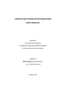 Carbon Partitioning in Nitrogen-Fixing Root Nodules