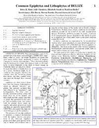Common Epiphytes and Lithophytes of BELIZE 1 Bruce K