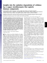 Insights Into the Oxidative Degradation of Cellulose by a Copper Metalloenzyme That Exploits Biomass Components