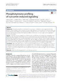 Phosphotyrosine Profiling of Curcumin-Induced Signaling
