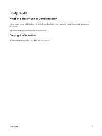Baldwin Bookrags Study Guide (Reference)