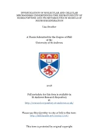 Lisa Strother Phd Thesis