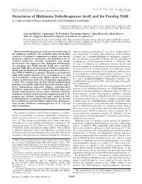 Structures of Shikimate Dehydrogenase Aroe and Its Paralog Ydib a COMMON STRUCTURAL FRAMEWORK for DIFFERENT ACTIVITIES*