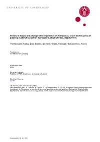University of Copenhagen