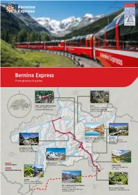 Bernina Express from Glaciers to Palms
