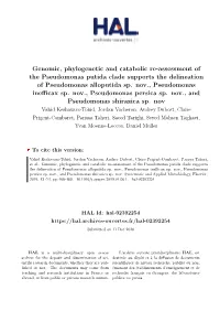 Pseudomonas Putida Revision 15