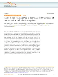 Sepf Is the Ftsz Anchor in Archaea, with Features of an Ancestral Cell Division System