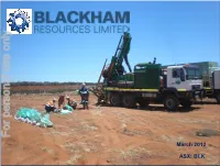 Wiluna Gold Project