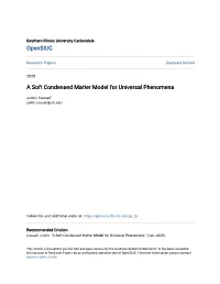 A Soft Condensed Matter Model for Universal Phenomena