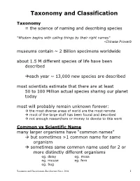 Taxonomy and Classification