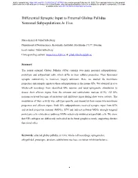 Differential Synaptic Input to External Globus Pallidus Neuronal Subpopulations in Vivo