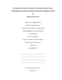 EXPERIMENTAL STUDIES on FERMENTATIVE FIRMICUTES from ANOXIC ENVIRONMENTS: ISOLATION, EVOLUTION, and THEIR GEOCHEMICAL IMPACTS By