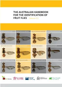 THE AUSTRALIAN HANDBOOK for the IDENTIFICATION of FRUIT FLIES Version 3.1