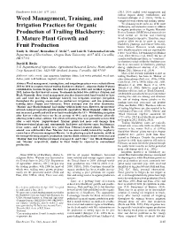 Weed Management, Training, and Irrigation Practices for Organic