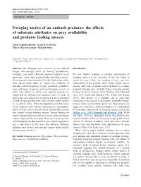 Foraging Tactics of an Ambush Predator: the Effects of Substrate Attributes on Prey Availability and Predator Feeding Success