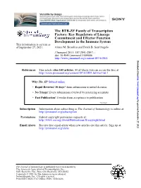 The BTB-ZF Family of Transcription Factors: Key Regulators of Lineage