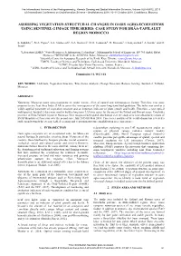 Assessing Vegetation Structural Changes in Oasis Agro-Ecosystems Using Sentinel-2 Image Time Series: Case Study for Drâa-Tafilalet Region Morocco