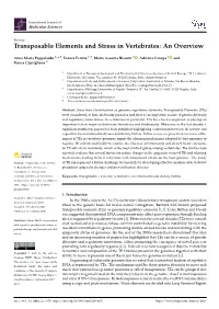 Transposable Elements and Stress in Vertebrates: an Overview