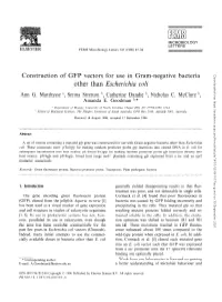 Construction of GFP Vectors for Use in Gram-Negative Bacteria Other Than