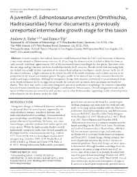 Edmontosaurus Annectens (Ornithischia, Hadrosauridae) Femur Documents a Previously Unreported Intermediate Growth Stage for This Taxon Andrew A