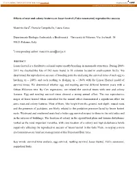 Effects of Nest and Colony Features on Lesser Kestrel Survival