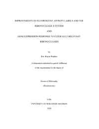 Proquest Dissertations