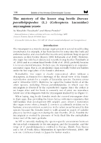 The Mystery of the Lesser Stag Beetle Dorcus Parallelipipedus (L.) (Coleoptera: Lucanidae) Mycangium Yeasts by Masahiko Tanahashi 1 and Maria Fremlin *2
