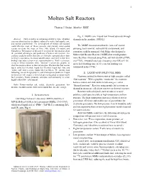 Molten Salt Reactors