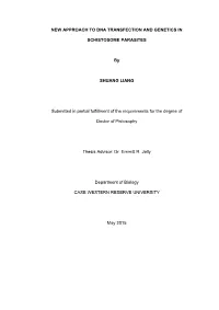 Dissertation Final (Shuang Liang)