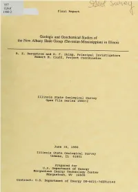 Geologic and Geochemical Studies of the New Albany Shale Group (Devonian-Mississippian) in Illinois