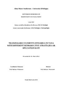 Transposable Elements Dynamics in Taxa with Different Reproductive Strategies Or Speciation Rate