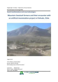 Mountain Livestock Farmers and Their Encounter with an Artificial Insemination Project in Paihuén, Chile