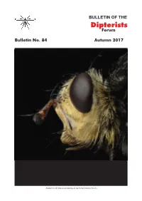 Dipterists Forum