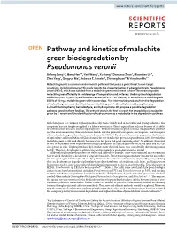 Pathway and Kinetics of Malachite Green Biodegradation By