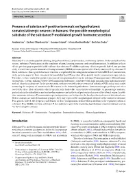 Presence of Substance P Positive Terminals on Hypothalamic