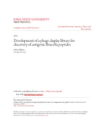 Development of a Phage Display Library for Discovery of Antigenic Brucella Peptides Jeffrey Williams Iowa State University