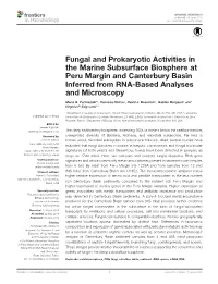 Fungal and Prokaryotic Activities in the Marine Subsurface Biosphere at Peru Margin and Canterbury Basin Inferred from RNA-Based Analyses and Microscopy