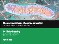 Lecture 4: Photosynthesis Light Reactions