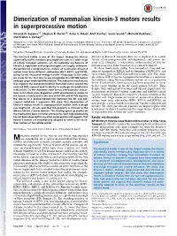 Dimerization of Mammalian Kinesin-3 Motors Results in Superprocessive Motion