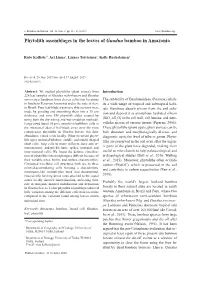 Phytolith Assemblages in the Leaves of Guadua Bamboo in Amazonia