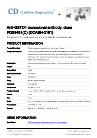 Anti-GSTO1 Monoclonal Antibody, Clone FQS9481(C) (DCABH-2161) This Product Is for Research Use Only and Is Not Intended for Diagnostic Use