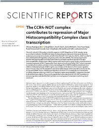 The CCR4-NOT Complex Contributes to Repression of Major