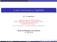 A Short Introduction to Sagemath