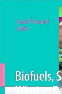 Biofuels, Solar and Wind As Renewable Energy Systems David Pimentel Editor