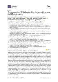 Bridging the Gap Between Genomes and Chromosomes