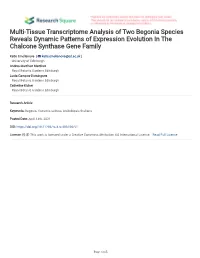 Multi-Tissue Transcriptome Analysis of Two Begonia Species Reveals Dynamic Patterns of Expression Evolution in the Chalcone Synthase Gene Family
