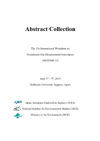 Abstract Collection